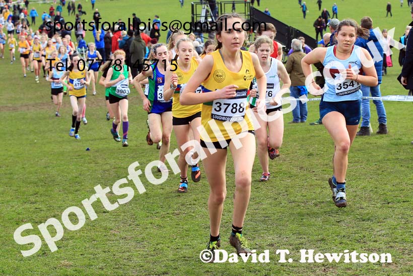 Girls Under-15s 2022 CAU Inter Counties Cross Country, Prestwold Hall, Loughborough.  Photo: David T. Hewitson/Sports for All Pics